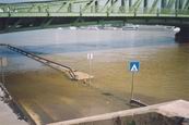 Zaplaven cesta pri Dunaji